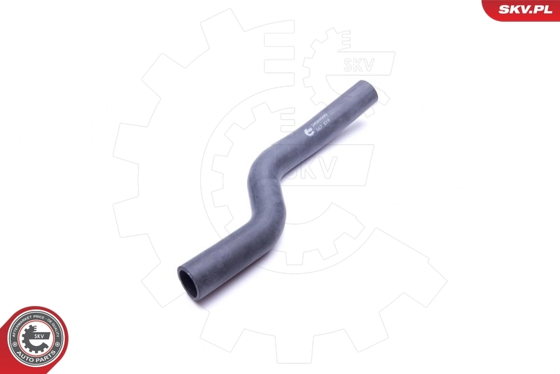 Radiator Hose